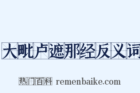 大毗卢遮那经反义词是什么意思的图片